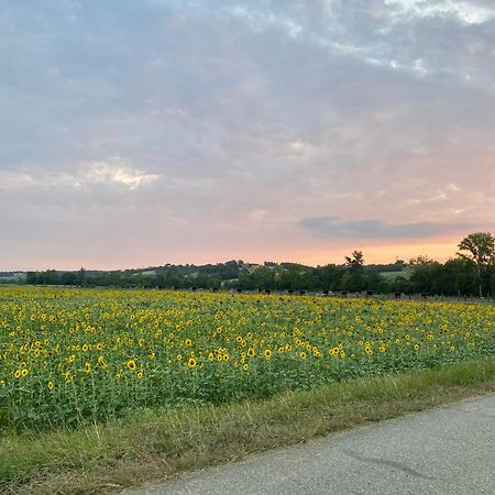 Dependance Privee A La Campagne Avec Spa Saint-Cirice Exteriör bild