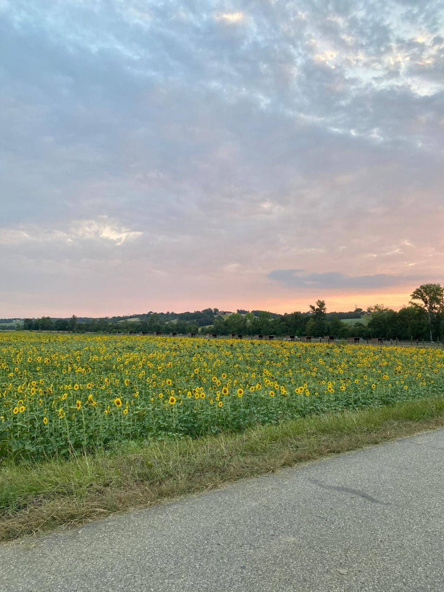 Dependance Privee A La Campagne Avec Spa Saint-Cirice Exteriör bild